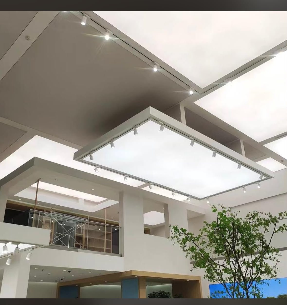Grid Translucent Stretch Ceiling